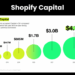 Choosing the best ecommerce loan - Is Shopify Capital right for you?